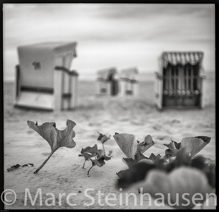 blackandwhite-marc-steinhausen-photography_99