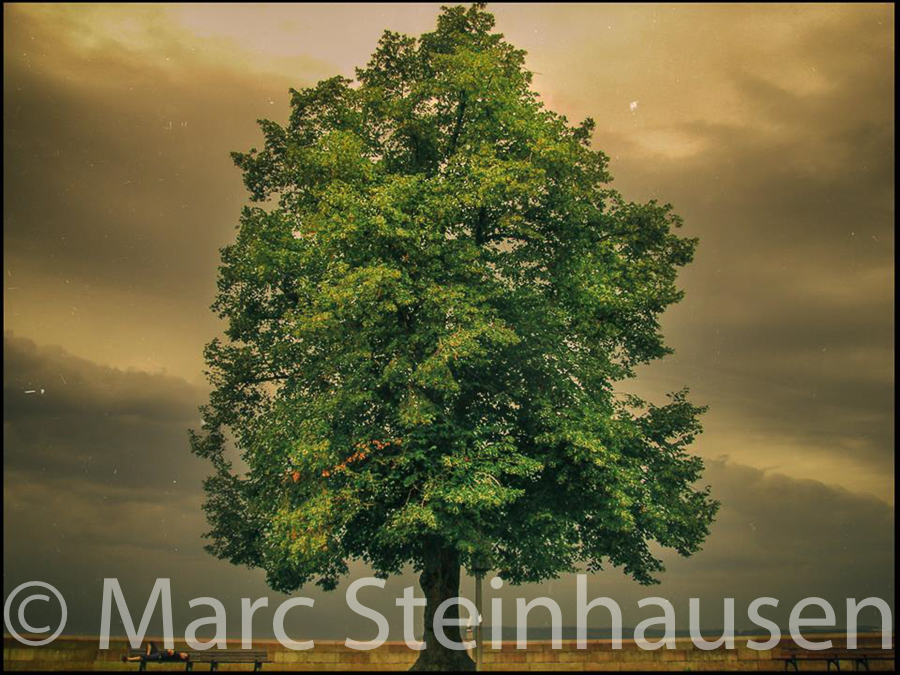 color-marc-steinhausen-photography_77