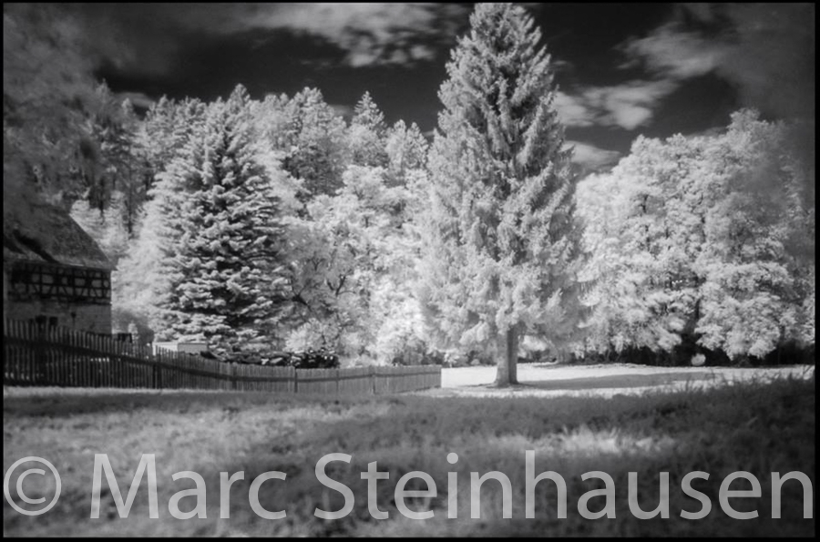 infrared-marc-steinhausen-photography_14