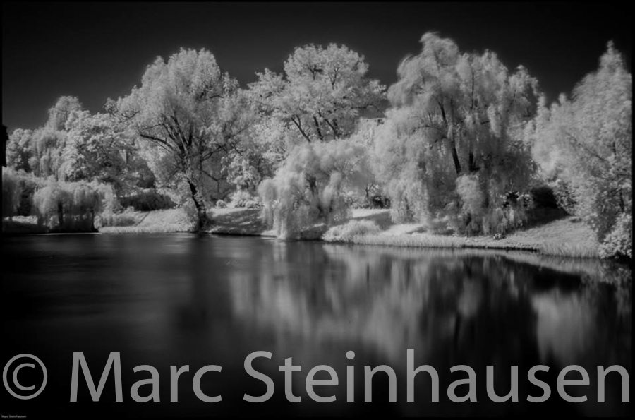 infrared-marc-steinhausen-photography_4